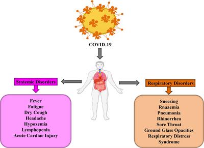 <mark class="highlighted">COVID</mark>-19 Outbreak: Pathogenesis, Current Therapies, and Potentials for Future Management